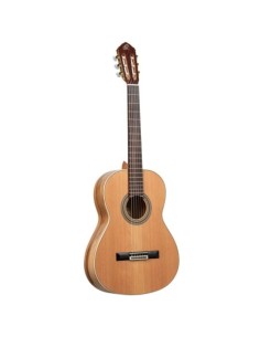 Ortega R20GSNRG