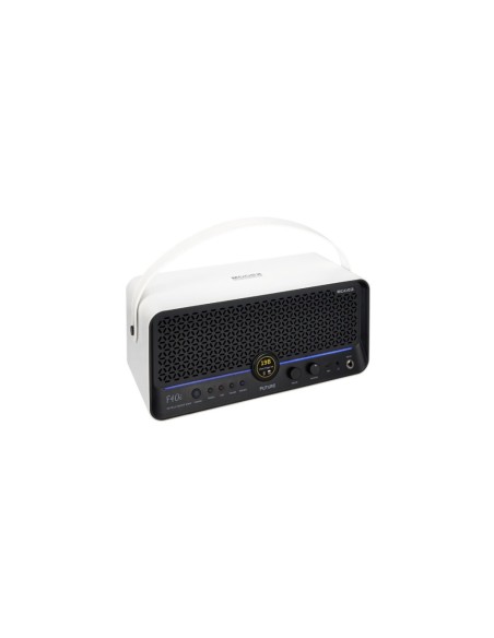 Mooer F40I SNOWFALL W