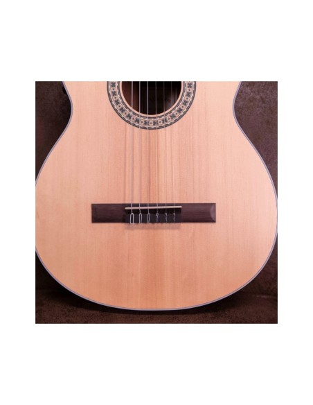 Walden WAN550EW NATURA 500