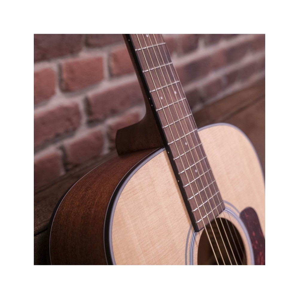 Walden WAO550E ORCHESTRA NATURA 500