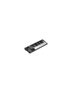 Icon ARTIST 25X