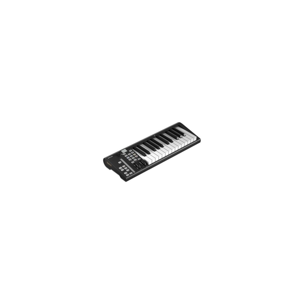 Icon ARTIST 25X