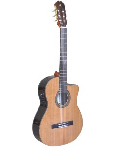 Admira VIRTUOSO ELECTRIFICADA CUTAWAY FISHMAN 2