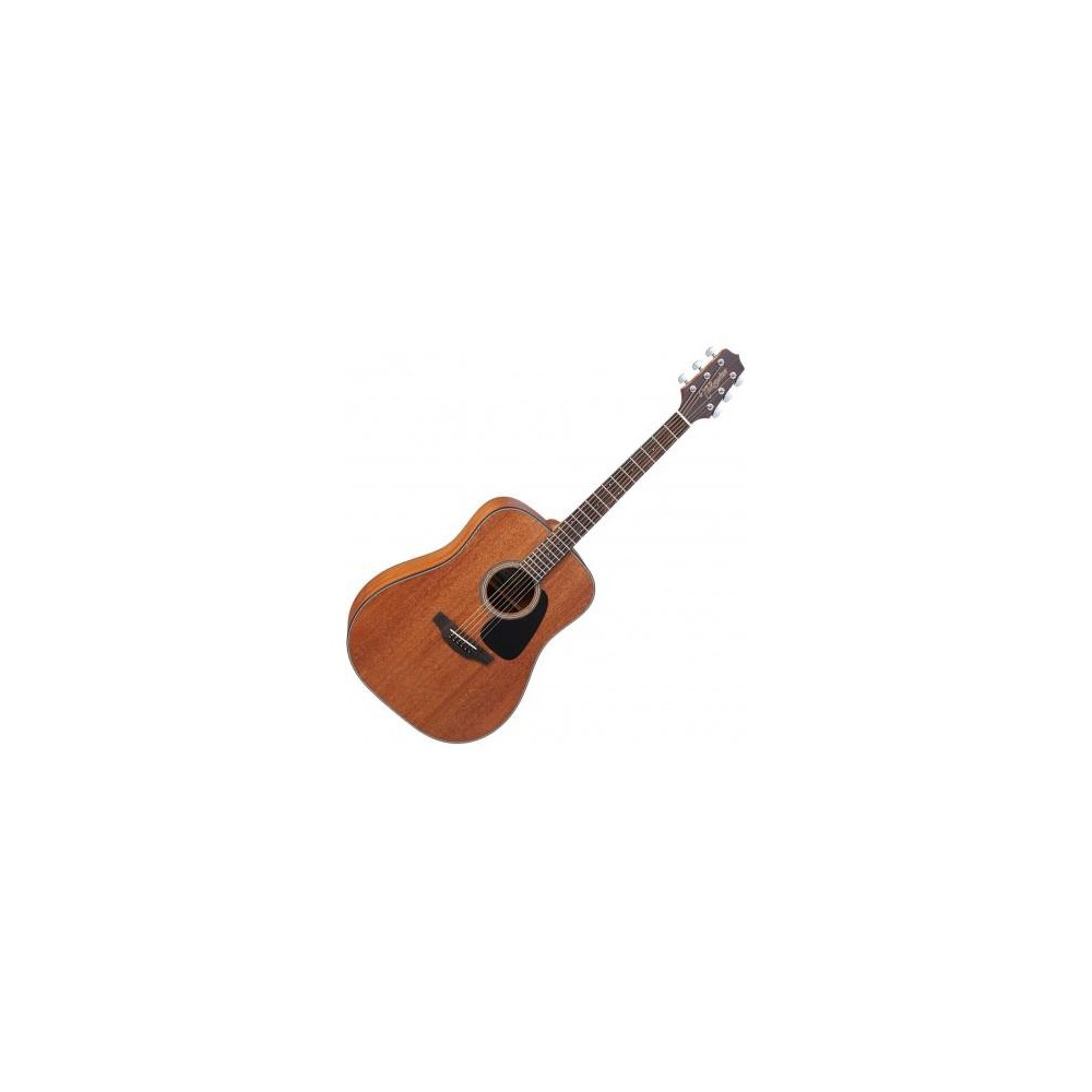 Takamine GD11M-NS