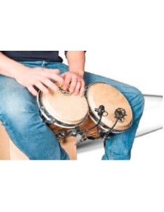 Prodipe PL21 MICRO INSTRUMENTO PERCUSION