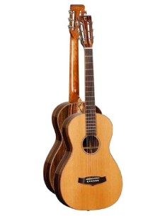 Tanglewood TWJPE GUITARRA ACUSTICA TWJPE PARLOUR