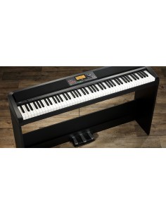 Korg XE20SP 2
