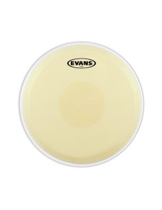 Evans EC1100 PARCHE QUINTO 11