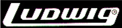 Ludwig